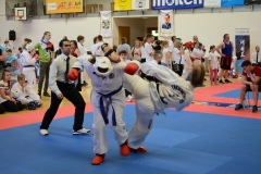 dsc_4201_35378879145_o